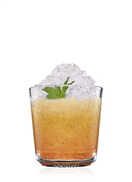 southern ginger cocktail