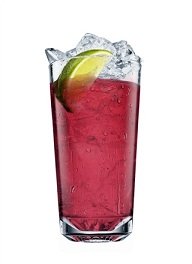 alabama slammer