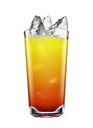tequila sunrise  cocktail
